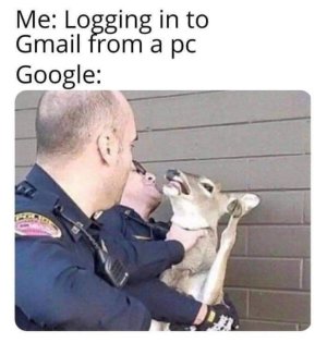 F03914AE-E70F-4EBC-8502-9C52EE30D956.jpeg