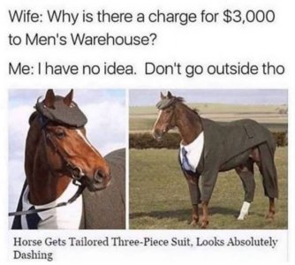 CA5A35C9-C2B6-40F3-A8A3-8608CA39D06E.jpeg