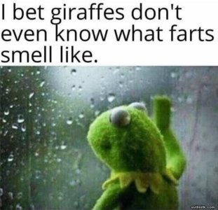97462F8B-FEF6-43A1-BA44-57E54FD4E674.jpeg