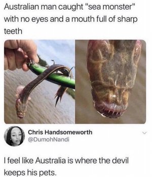 88B7C351-C21A-442B-AC23-B39204F2F856.jpeg