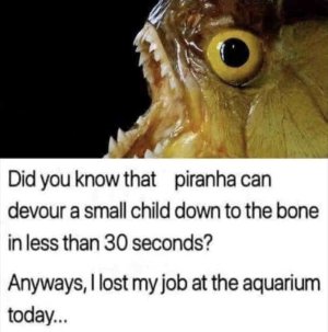 D3A23C31-CFA8-46E0-8ED8-C94509324BC1.jpeg