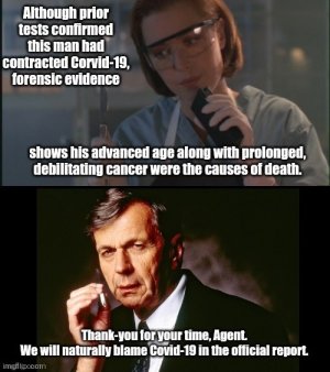 0867F72C-9295-4074-BAA2-90B5248B1757.jpeg