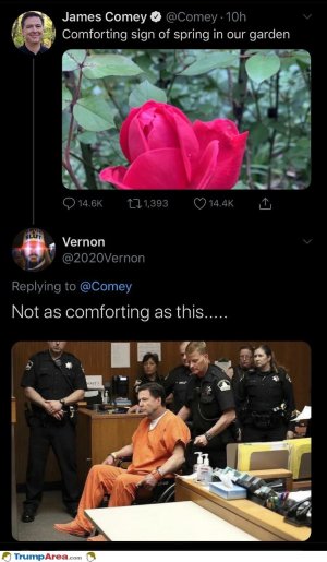 E8E6D6C4-D425-464B-99EC-74466D6D7828.jpeg