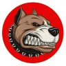 Maddog1
