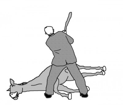 pdoVVI4l.jpg