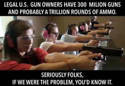 Gun_Owners.png