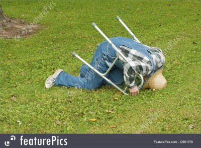 Tumble.jpg