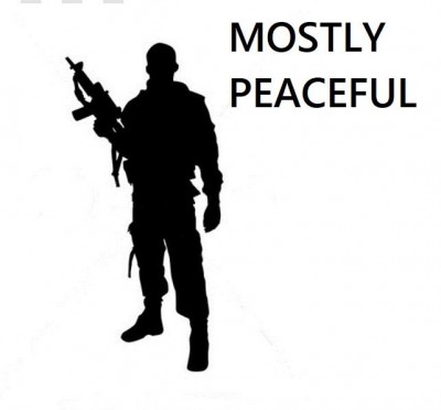 Mostly Peaceful militia dude.jpg