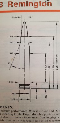 223.jpg