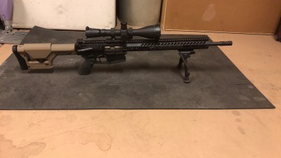 AR-10