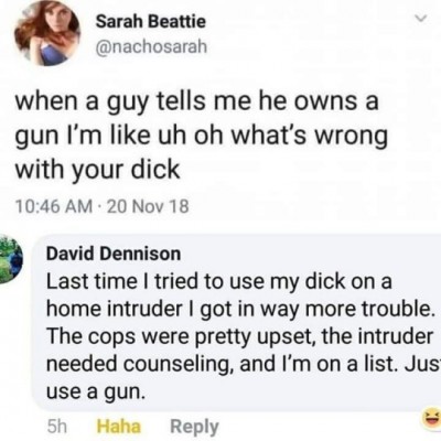 gun control dick.jpg