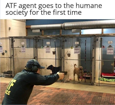 atf dog training.png