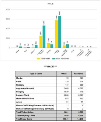 crime stats-GA.jpg
