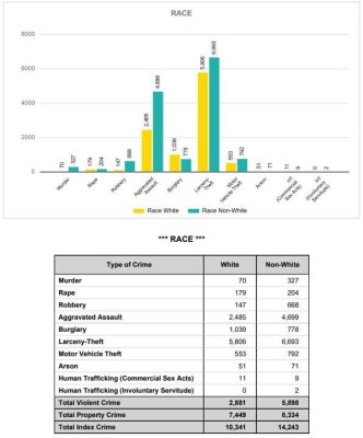 crime stats-GA.jpg