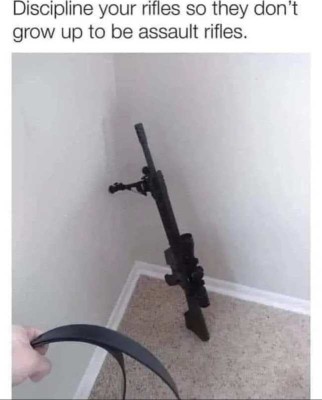 discipline your rifles.jpg