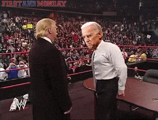 bW9nswn.gif
