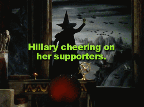 tumblr-ph4vt2-Ozvz1rpvpqy-500.gif