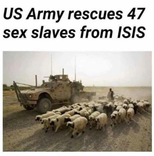 tumblr-psufa5v-Ubj1t73mwz-540.jpg