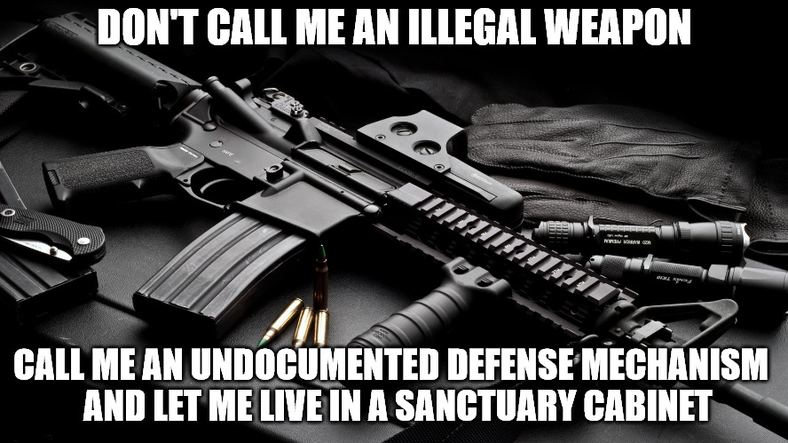 82595d1537271880t-firearm-2a-meme-thread-26w46j-1815201322.jpg