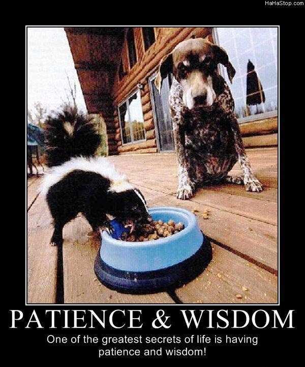 Patience-And-Wisdom.jpg