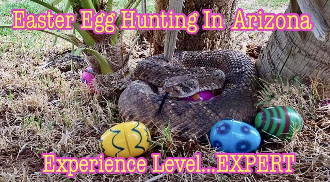AZ-Easter.jpg