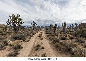 90e895656a5778058d1662c90aa9758b.jpg