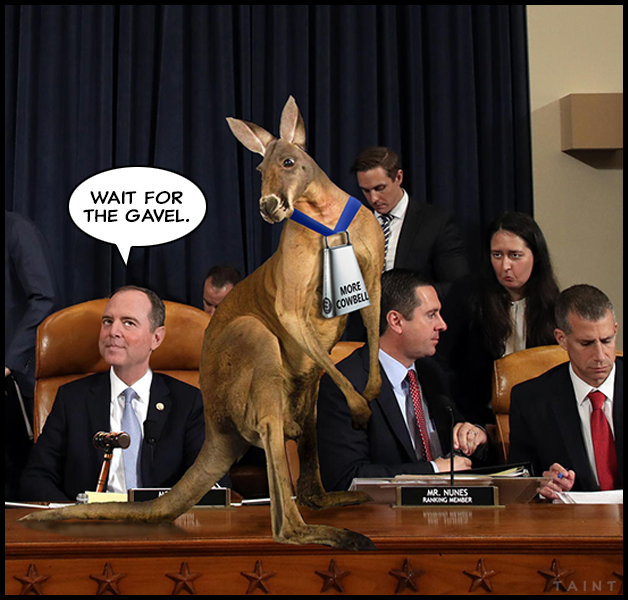 kangaroo.png