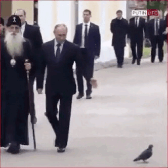 tumblr-be6c30564b0c031755c98417aa613f27-1ebd7cfb-400.gif