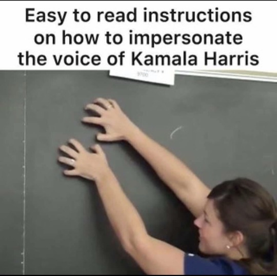 tumblr-369332105fcf70da9ca1bb4f0849e4aa-94af221b-540.jpg