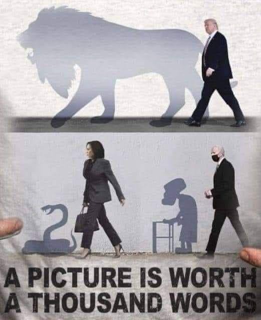 tumblr-95f23500ea5e49819d96fa6ee2ac77f4-da08b5ee-540.jpg