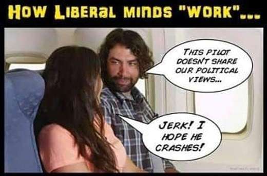 liberal-mind-this-pilot-doesnt-share-our-political-views-hope-he.jpg