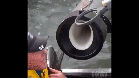 tumblr-pyenlu1r-Ui1ukxxj7o1-500.gif