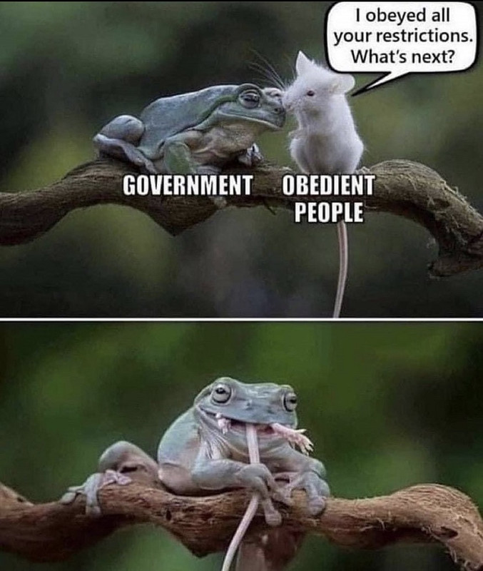 hIrWhKD.jpg