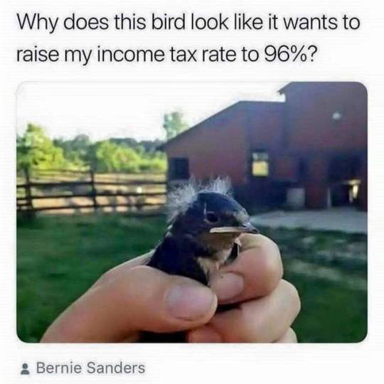 tumblr-pje7puw-R0-H1u3d3nb-540.jpg