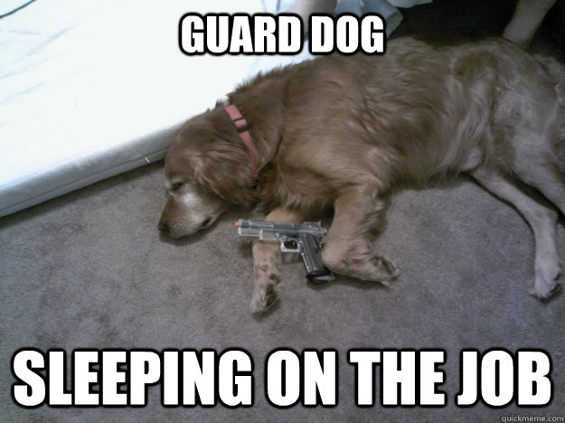 Guard-Dog.jpg