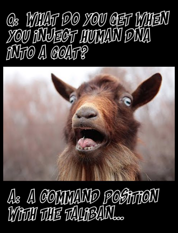 goat.png