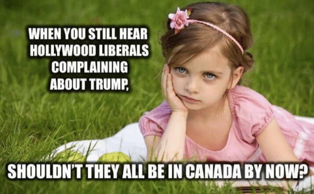 when-you-still-hear-hollywood-liberals-complaining-about-trump-s.png