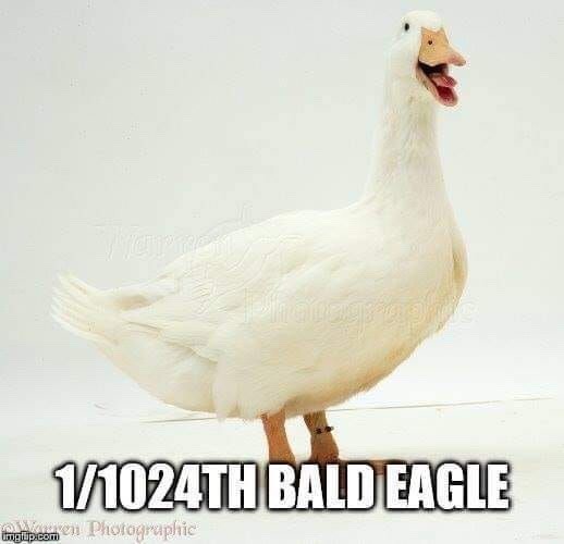 tumblr-pgow867-Ozg1w0hjmt-540.jpg