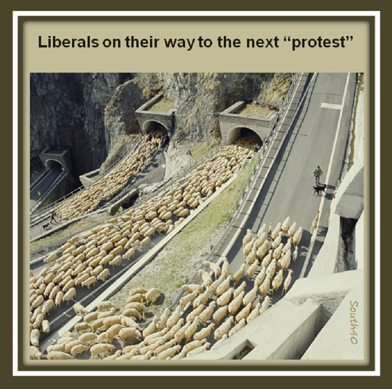 F70gFI6.png