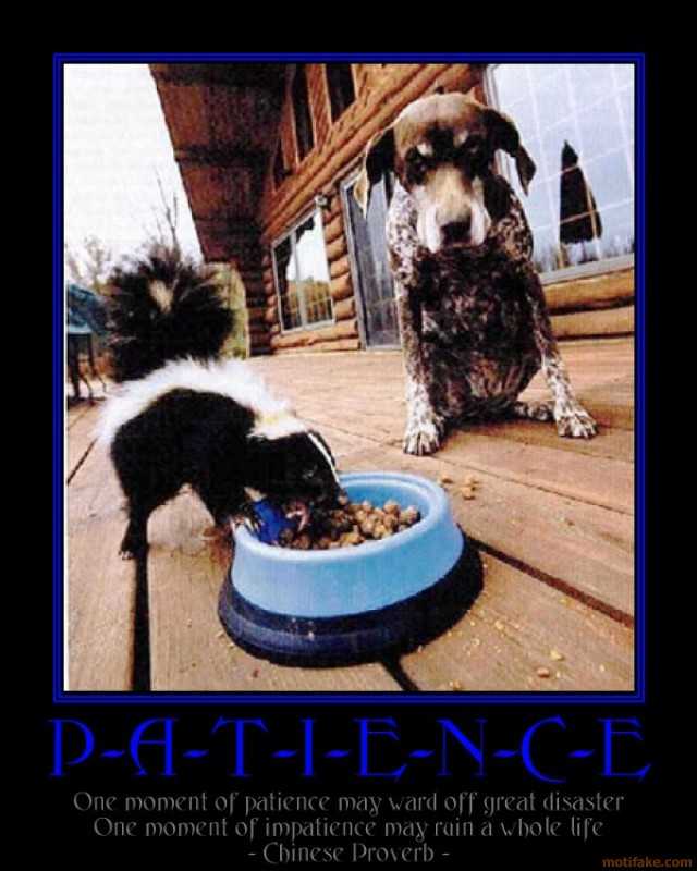 patience-patience-is-rewarded-demotivational-poster-1279771759.jpg