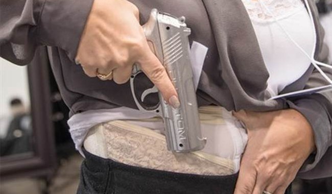 bearingarms.com