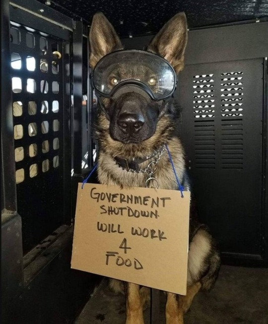 tumblr-plmxwf-Zjn51wohnyh-540.jpg