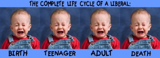 liberal-life-cycle.jpg