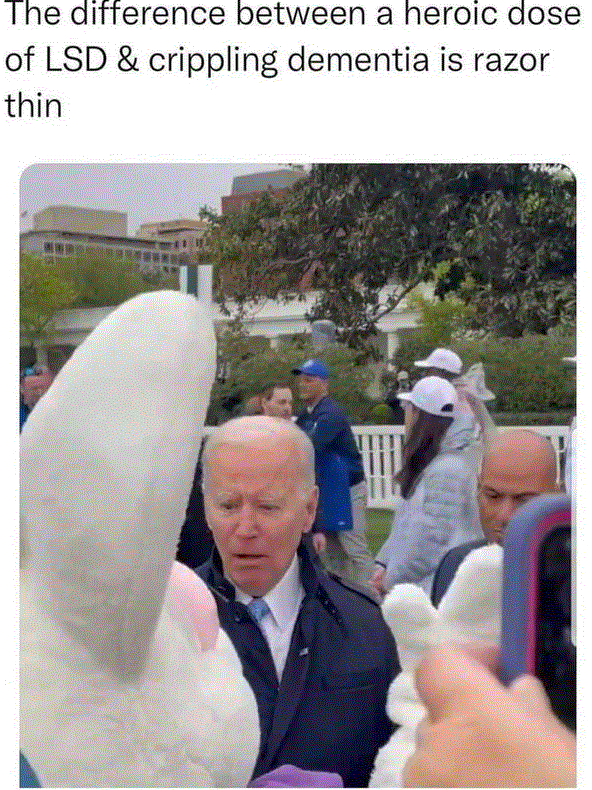 PgzfVjy.gif